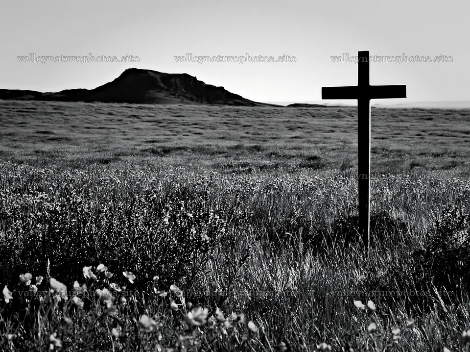 Simple Christian cross in meadow landscape – nature photography 9174x6866
