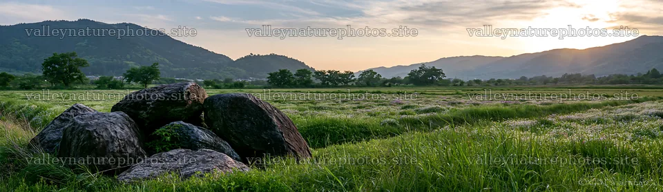 Kyoto spring wildflower meadow with stones in foreground – nature photography 14762x4268