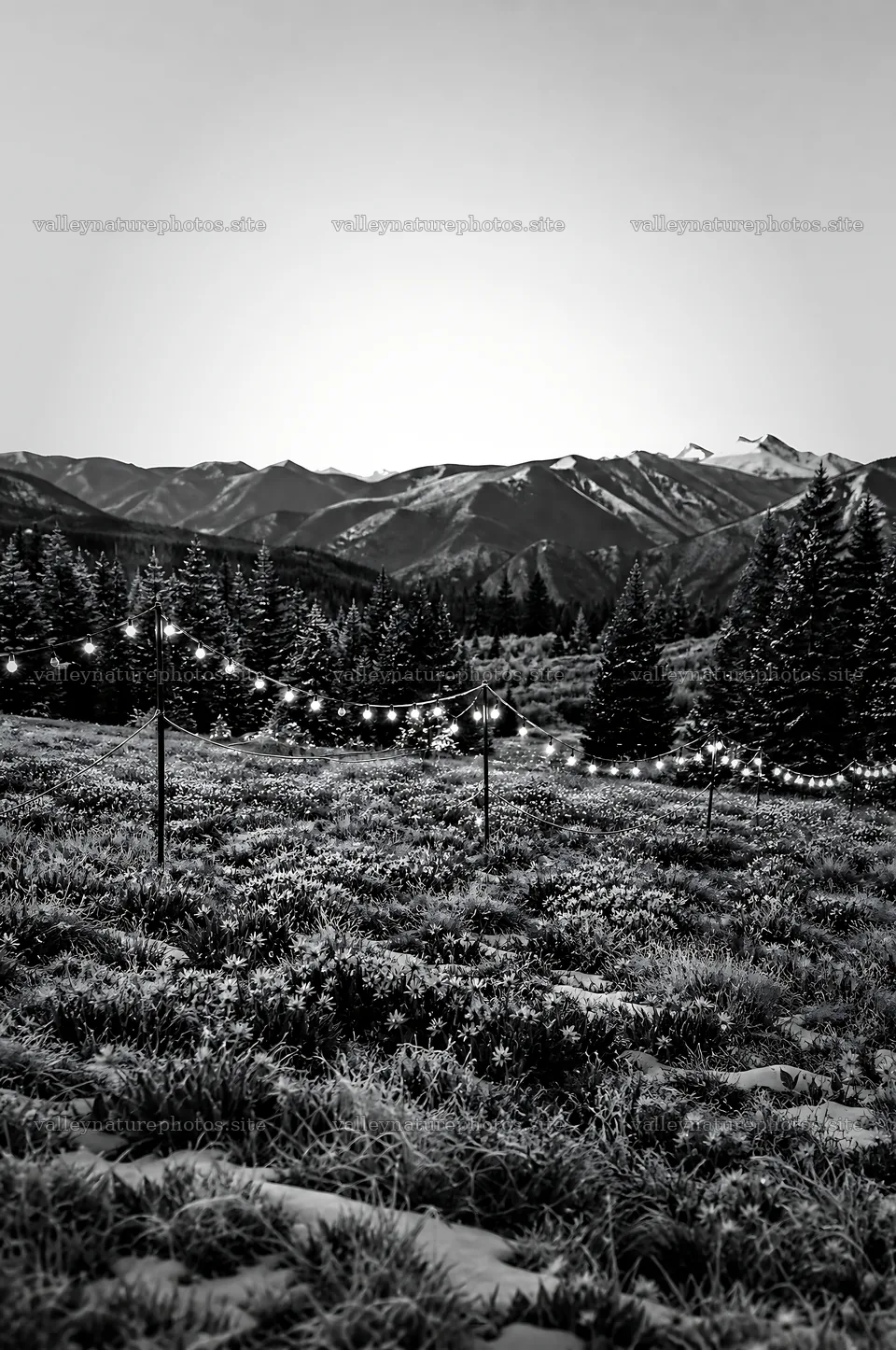 Warm Christmas lights across mountain valley meadow – nature photography 6468x9740