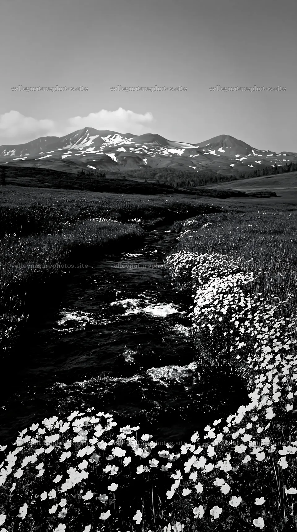 High contrast meadow with watercourse and surrounding mountains – nature photography 5938x10608