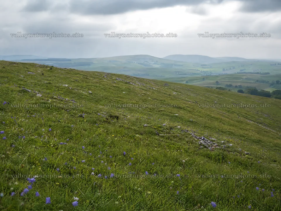 Sunny limestone meadow with open space and distant hills – nature photography 9166x6874