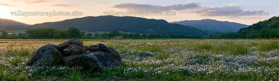 Kyoto spring wildflower meadow stone foreground – nature photography 14762x4268
