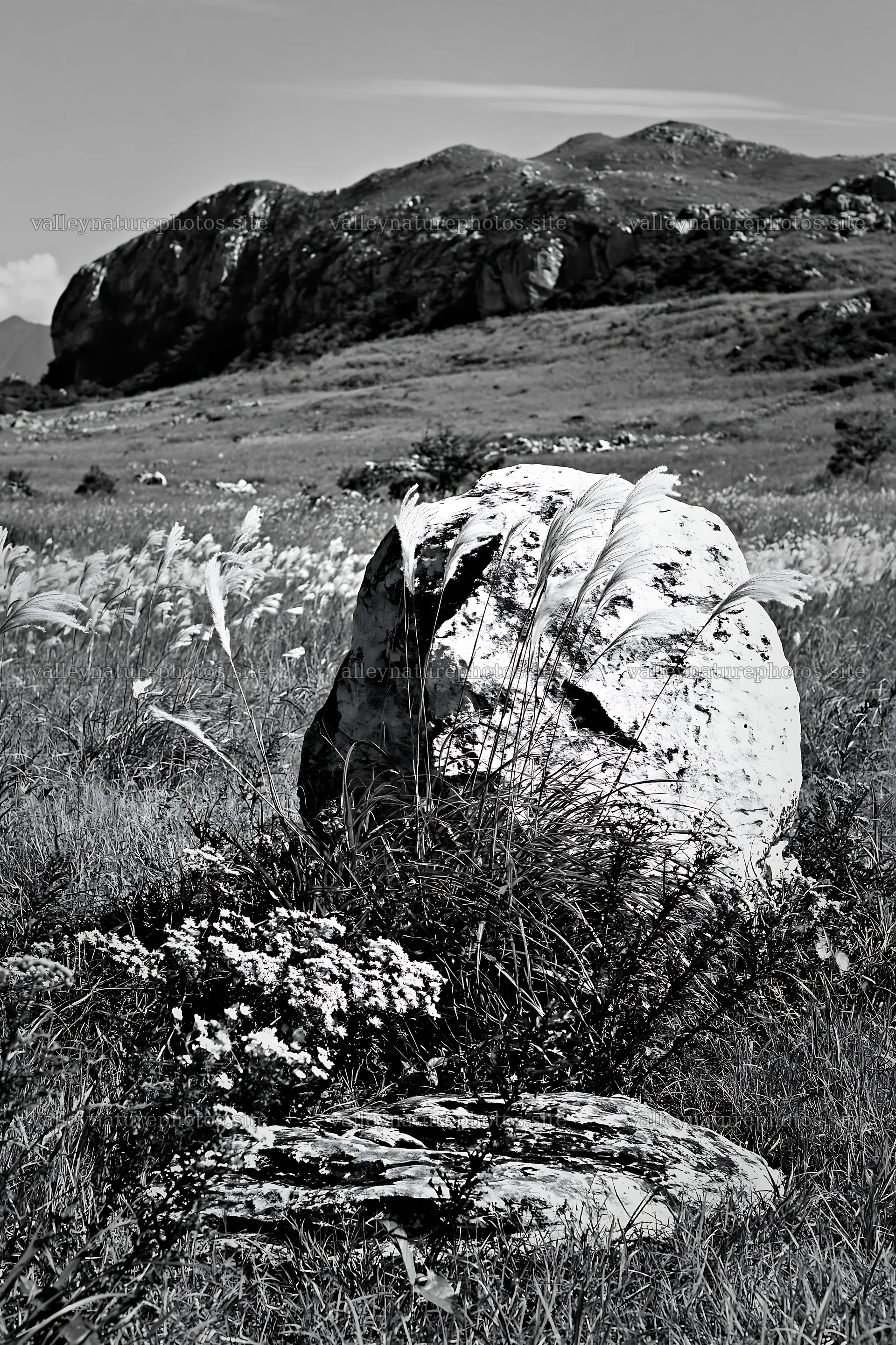 Yamaguchi limestone meadow with pale boulder and grass – nature photography 6480x9722