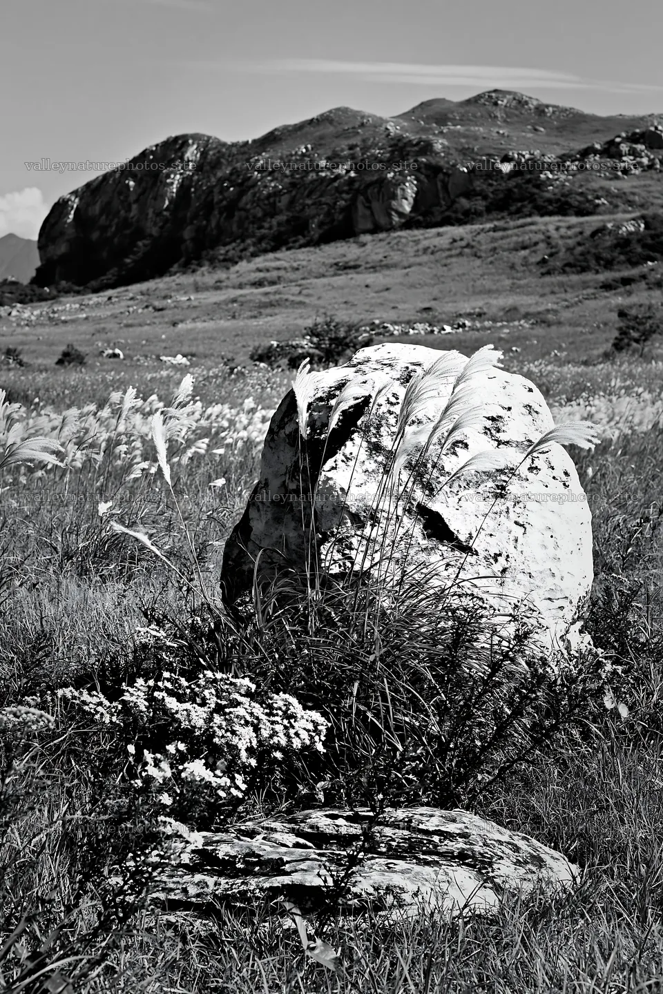 Yamaguchi limestone meadow with pale boulder and grass – nature photography 6480x9722