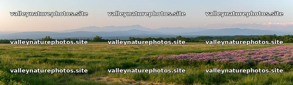 Expansive Hokkaido restoration meadow with dewdrops – nature photography 14762x4268