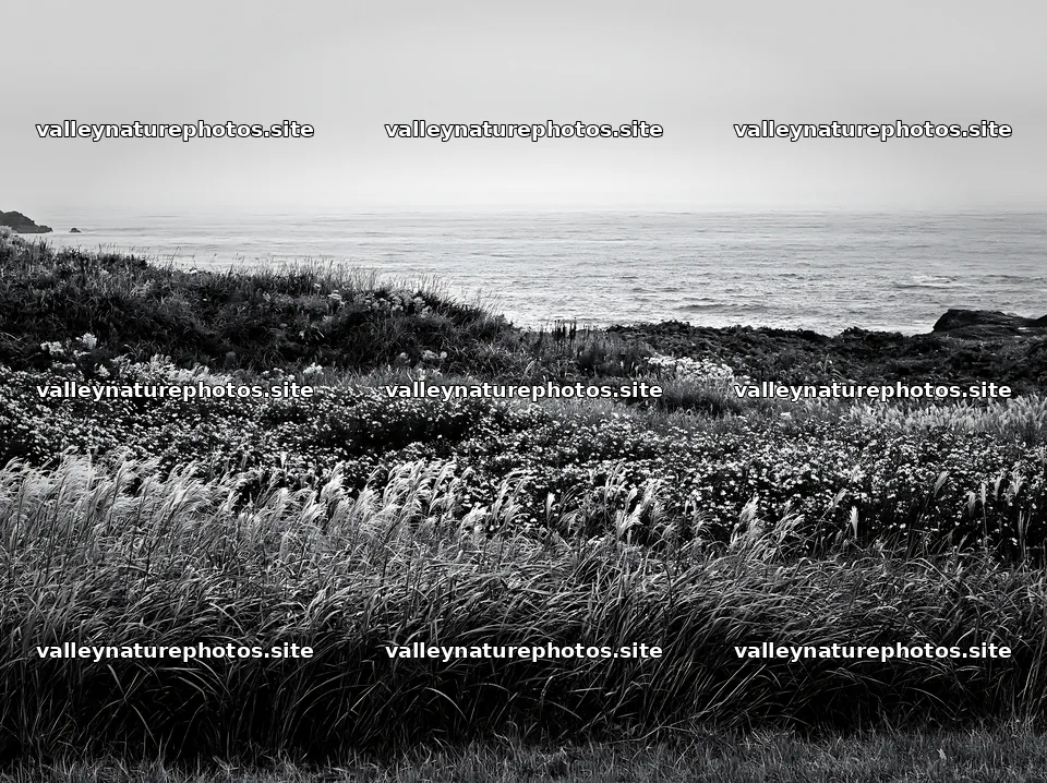 Fukui native grass meadow rain droplets – nature photography 9174x6866