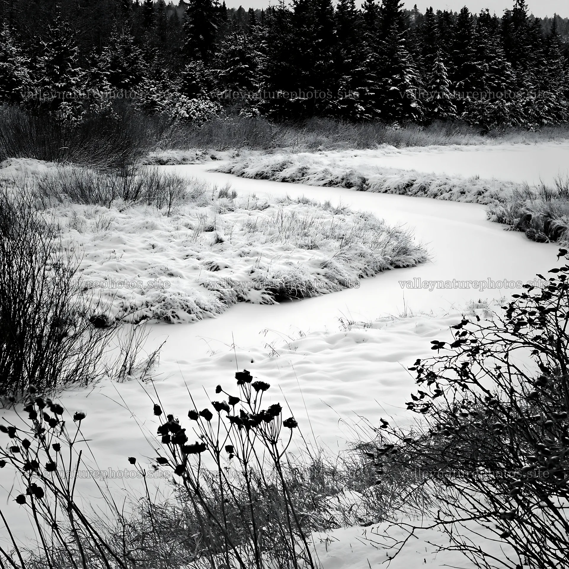 Snowy meadow with a winding river during winter – nature photography 7938x7938