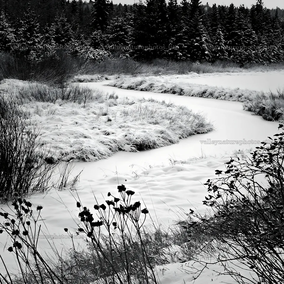 Snowy meadow with a winding river during winter – nature photography 7938x7938