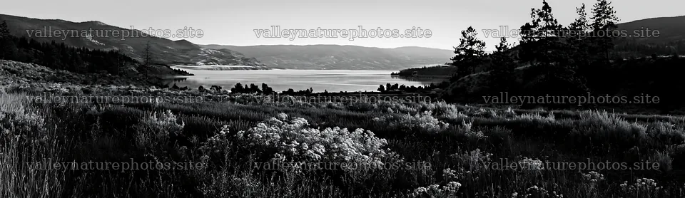 Colorful lavender meadow near a lake with distant mountains – nature photography 14762x4268