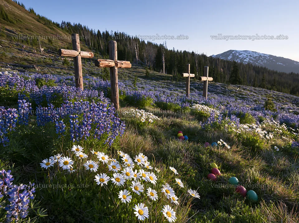 Christian crosses in a meadow with flowers near mineral spring – nature photography 9174x6866