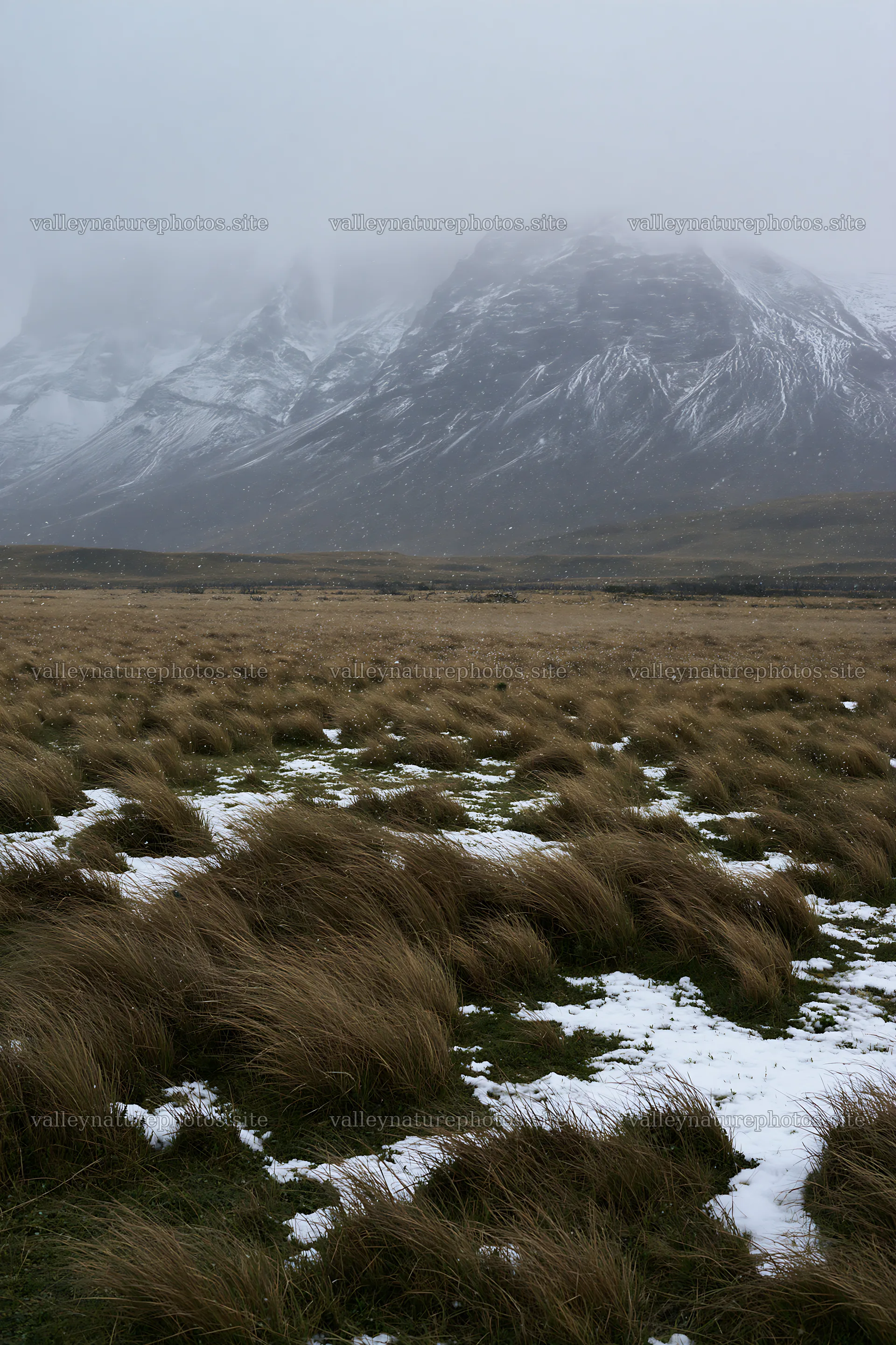 Snow covering meadow in Torres del Paine with mountains in background – nature photography 6480x9722