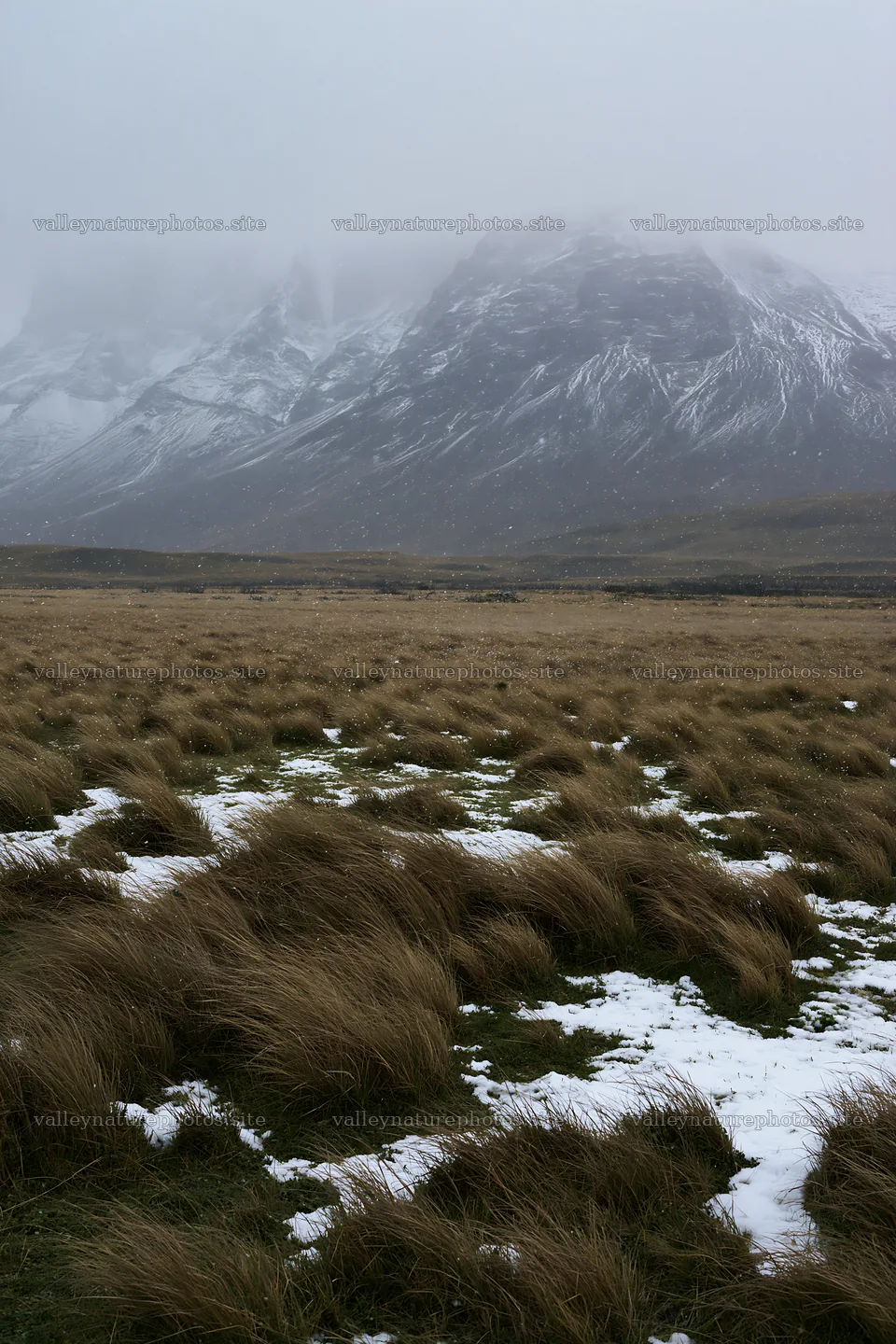 Snow covering meadow in Torres del Paine with mountains in background – nature photography 6480x9722