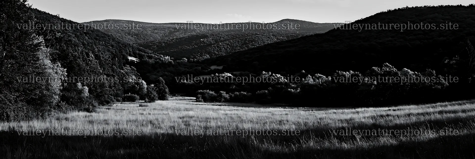 Hungarian meadow in wooded valley during late afternoon – nature photography 13690x4602