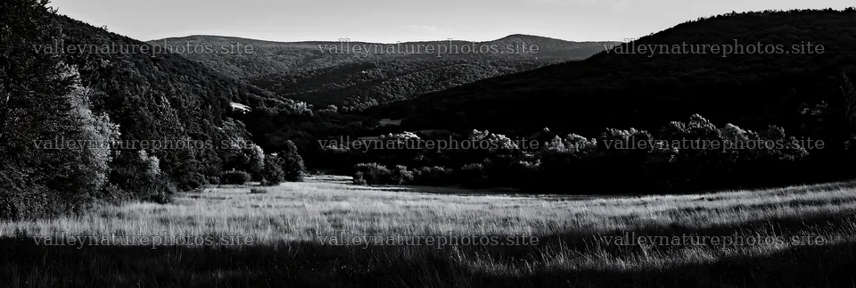 Hungarian meadow in wooded valley during late afternoon – nature photography 13690x4602