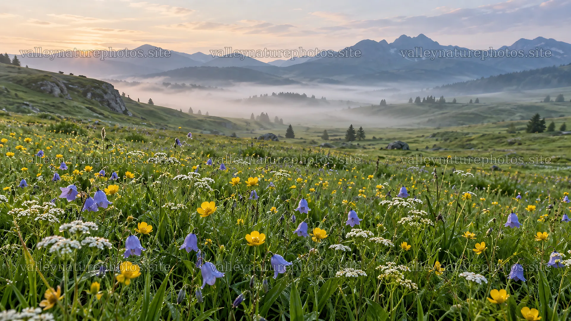 Wildflower Meadow at Sunrise in Mountain Mist – nature photography 10324x5812