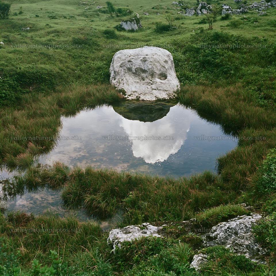 Yamaguchi limestone meadow with pale boulder and water reflection – nature photography 7938x7938