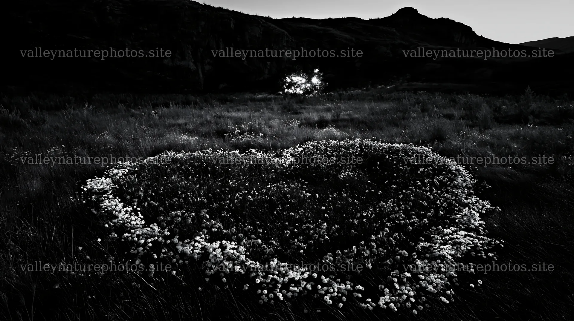 Christmas lights in a meadow at dusk near a cave – nature photography 10608x5938