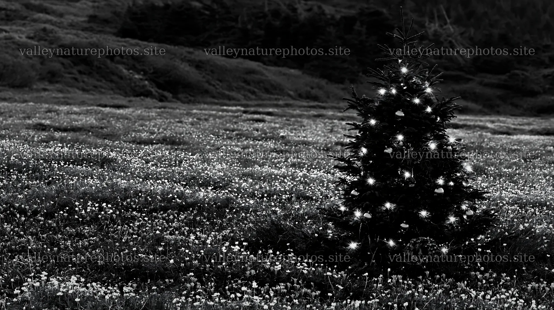 Christmas decorations near tree in mountain valley meadow – nature photography 10608x5938