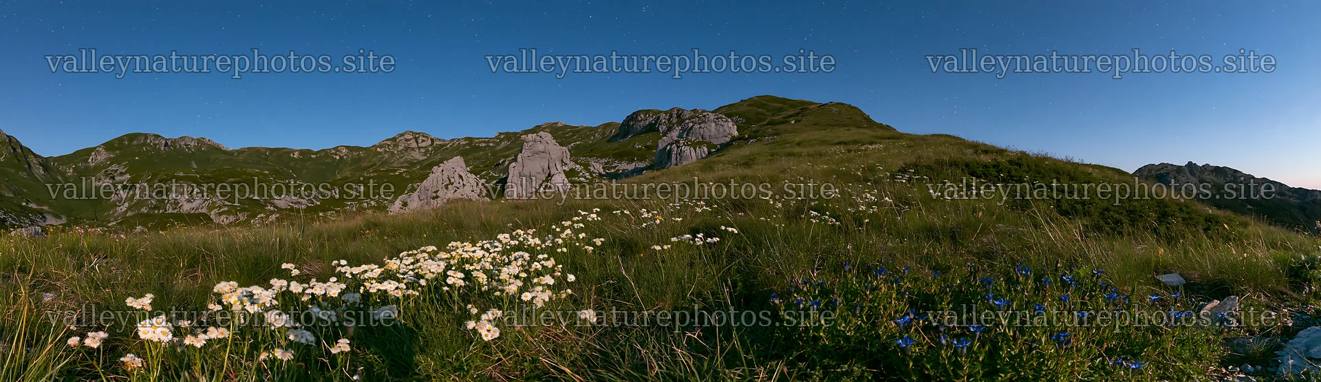 Night-blooming meadow with flowers and mountains in the background – nature photography 14762x4268