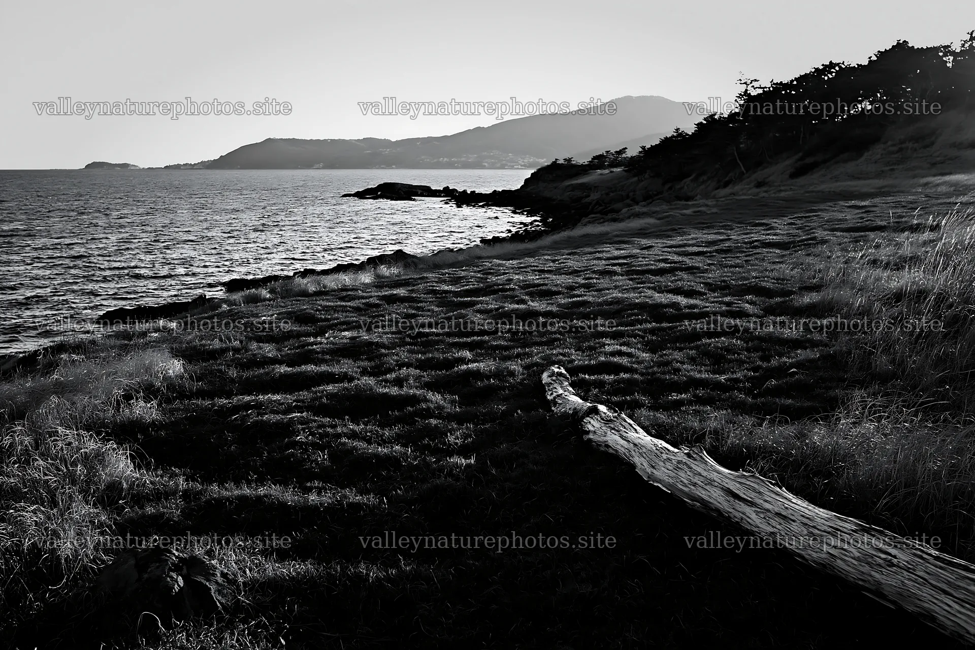 Nagasaki coastal meadow driftwood foreground mood – nature photography 9722x6480